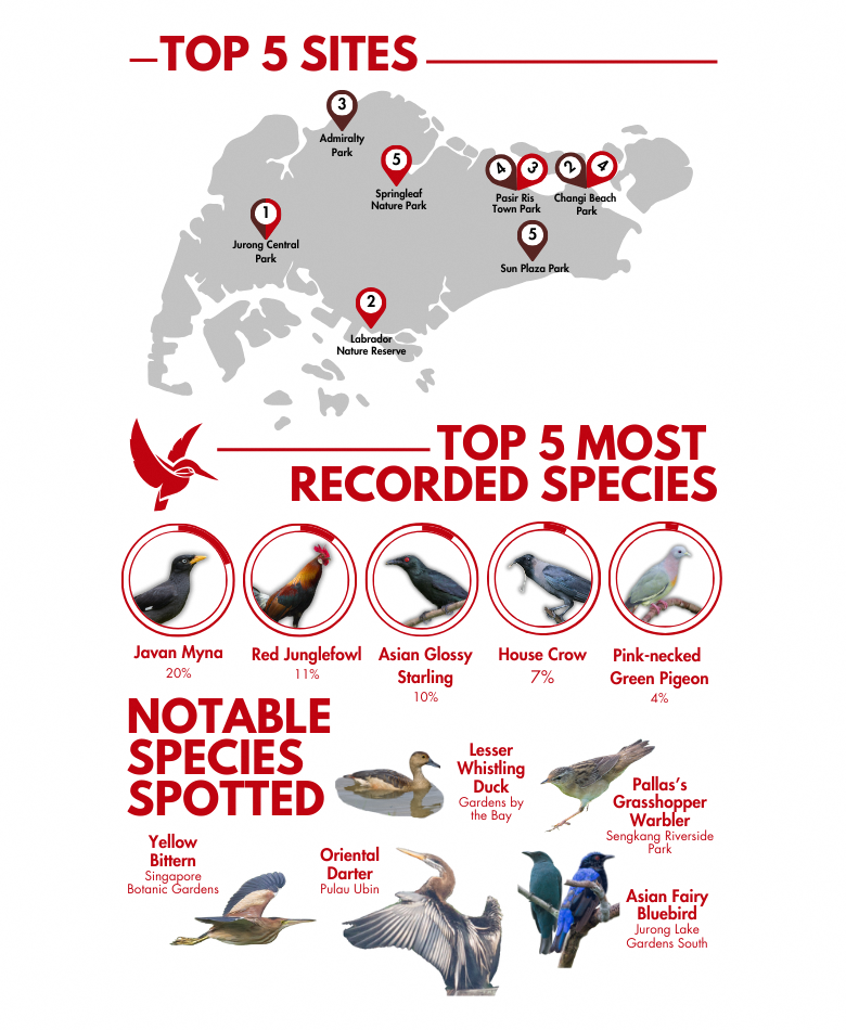 Infographics